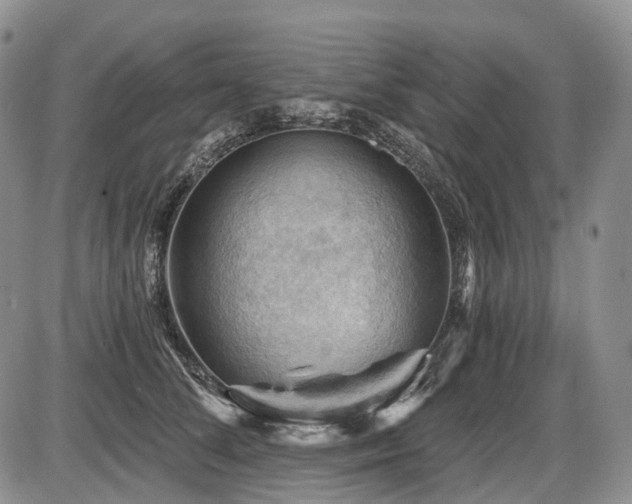 X0000087590708200704271307