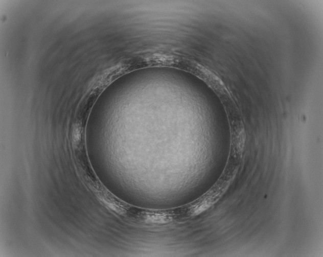 X0000087590709200704271307