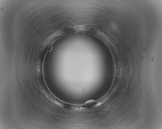 X0000087590710200704271307