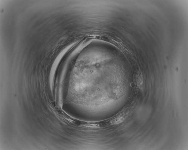 X0000087590711200704271307