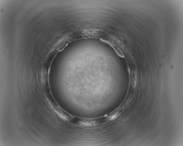 X0000087590712200704271307