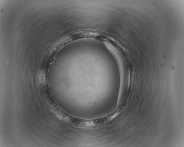 X0000087590715200704271307