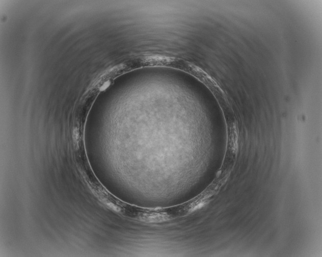 X0000087590716200704271307