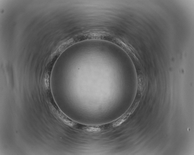 X0000087590718200704271307