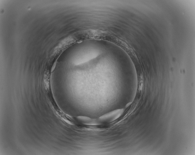 X0000087590719200704271307