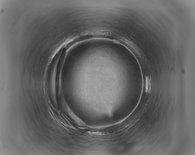 X0000087590723200704271306