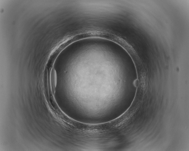 X0000087590730200704271306