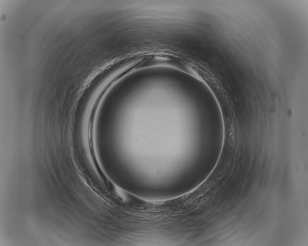 X0000087590732200704271306