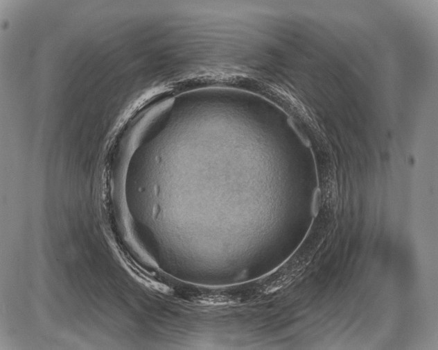 X0000087590736200704271307