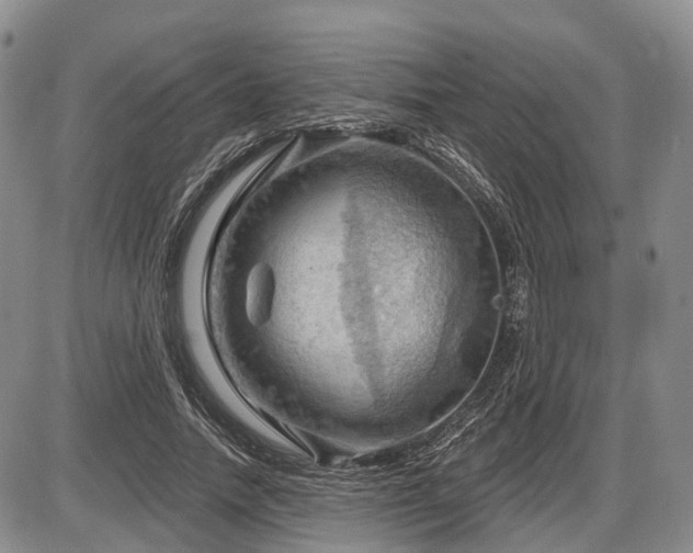 X0000087590738200704271307