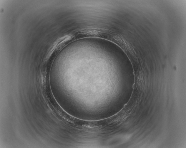 X0000087590739200704271307