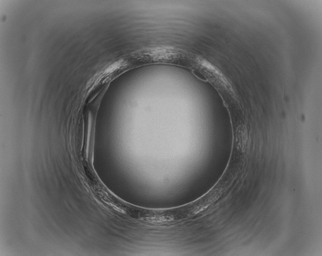 X0000087590740200704271307