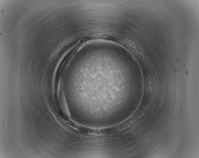 X0000087590742200704271307