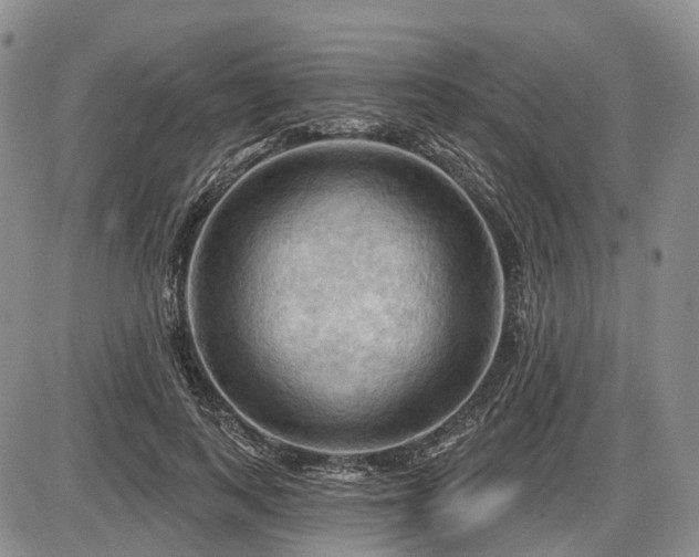 X0000087590743200704271307