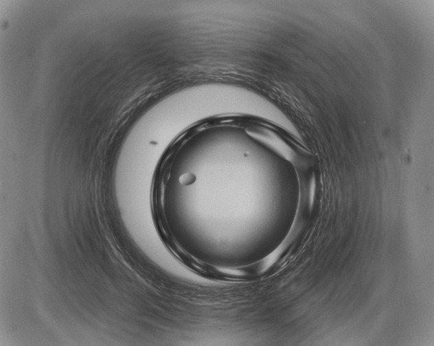 X0000087590744200704271307