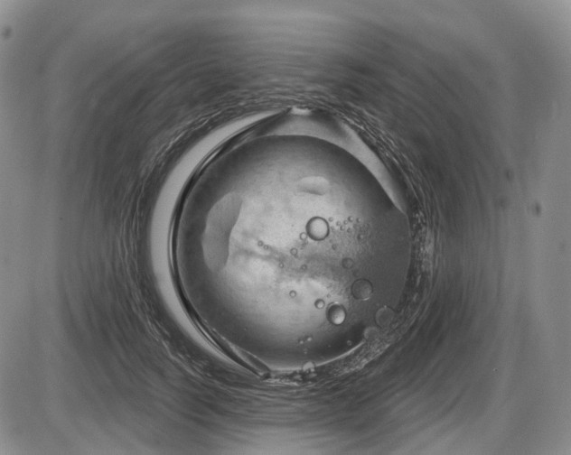 X0000087590746200704271307