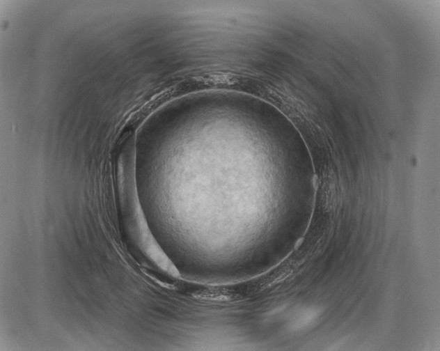 X0000087590747200704271307