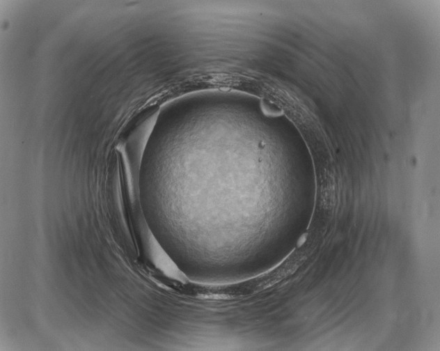 X0000087590748200704271307