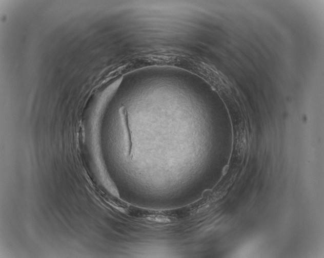 X0000087590749200704271307