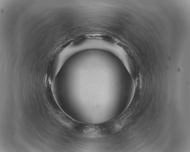 X0000087590750200704271307