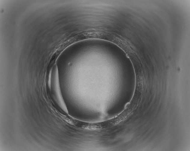 X0000087590751200704271307