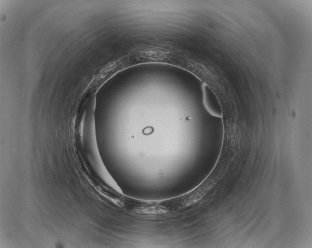 X0000087590752200704271307