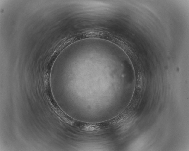 X0000087590753200704271307