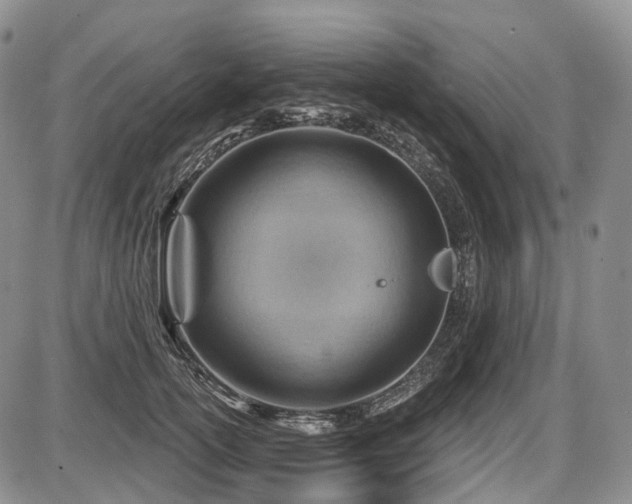 X0000087590754200704271307