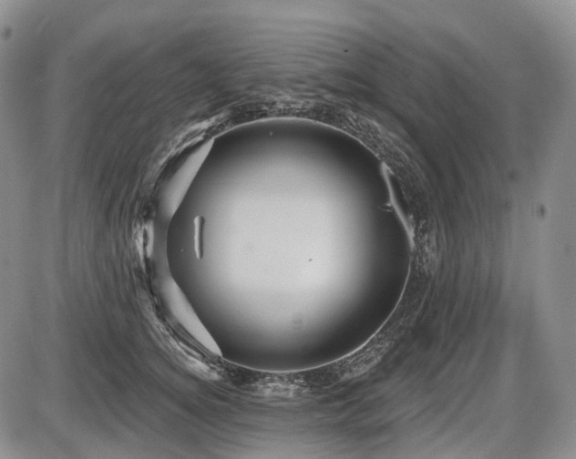 X0000087590756200704271307