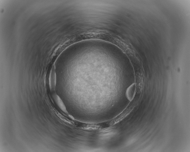 X0000087590758200704271307