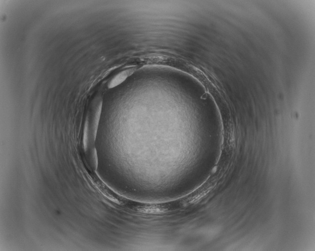 X0000087590759200704271307