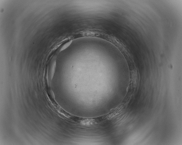 X0000087590761200704271307