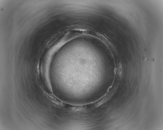 X0000087590763200704271307