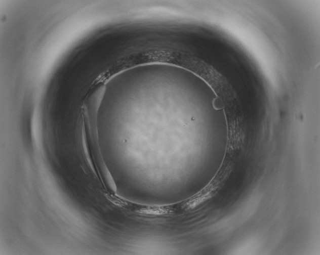 X0000087590765200704271307