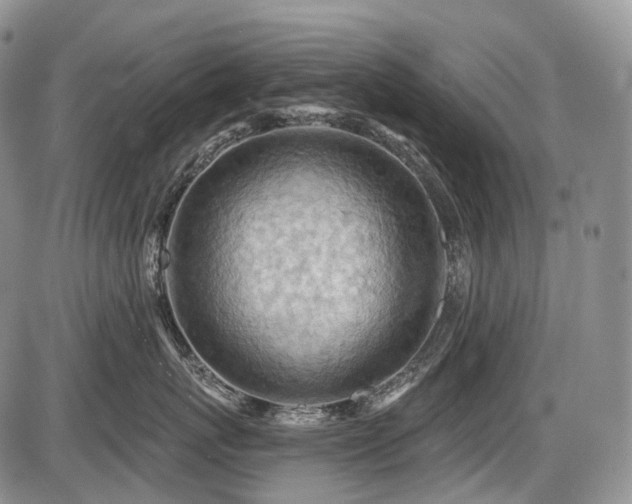 X0000087590767200704271307