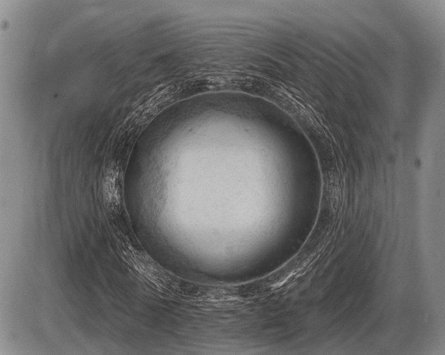 X0000087590770200704271306