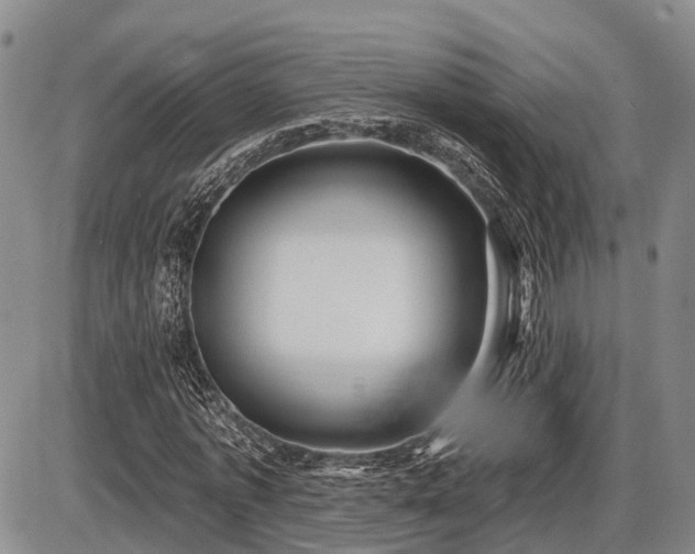 X0000087590773200704271306