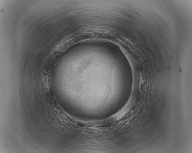 X0000087590774200704271306