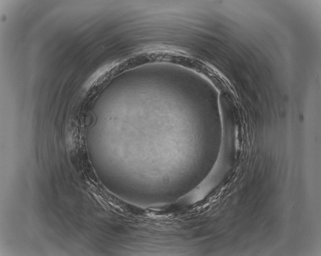 X0000087590775200704271306