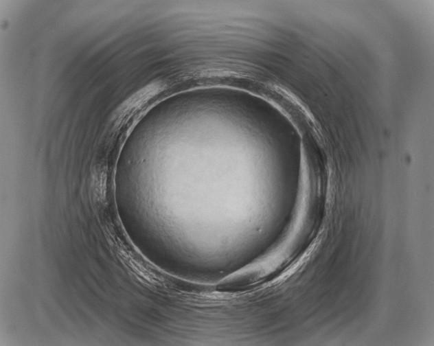 X0000087590777200704271306