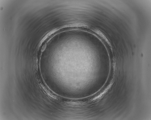 X0000087590781200704271306