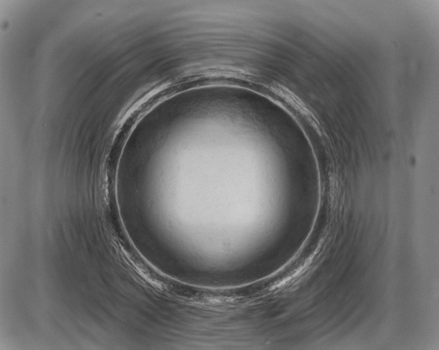X0000087590782200704271306