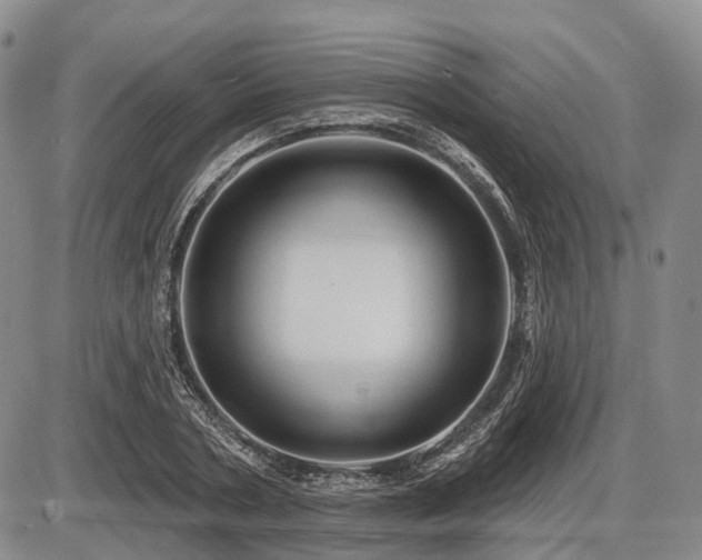 X0000087590786200704271306