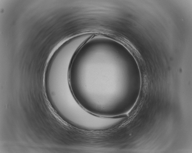 X0000087590788200704271306