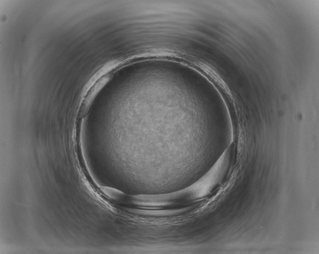 X0000087590797200704271306