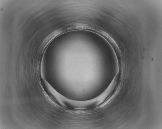 X0000087590801200704271306