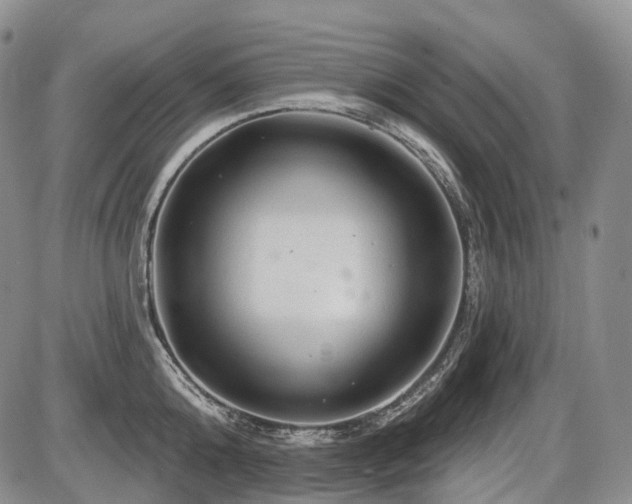 X0000087590808200704271306