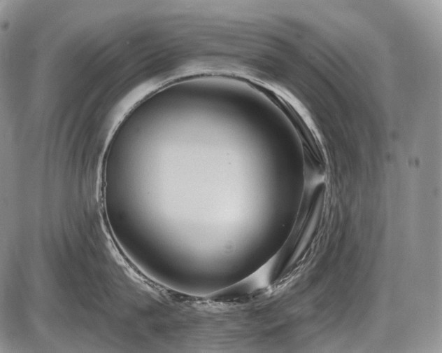 X0000087590815200704271306