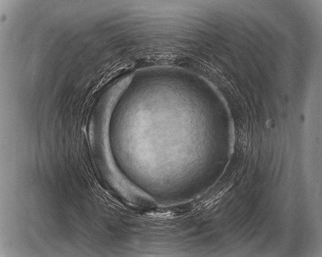 X0000087590818200704271305