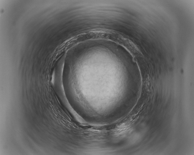 X0000087590821200704271305